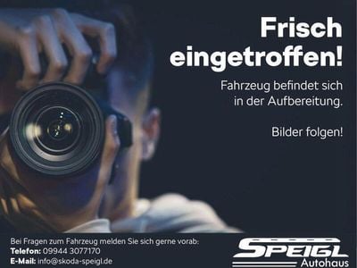 Gebraucht Skoda Fabia Style 95 PS (69 kW) 2020 Blau Kleinwagen