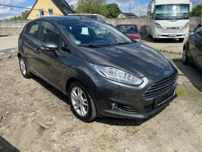 Gebraucht Ford Fiesta Trend 82 PS (60 kW) 2015 Grau Kleinwagen