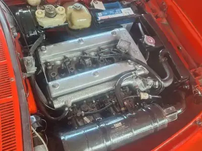 Gebraucht Alfa Romeo Spider 131 PS (96 kW) 1978 Rot Cabrio