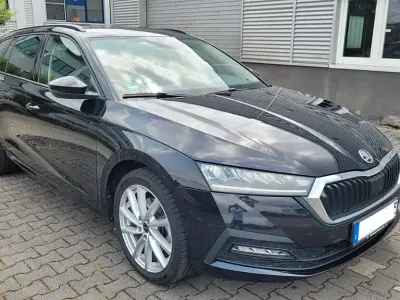 Gebraucht Skoda Octavia