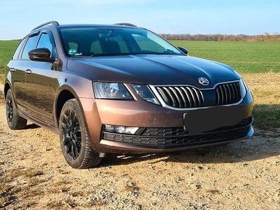 Gebraucht Skoda Octavia Drive 150 PS (110 kW) 2017 Braun Kombi