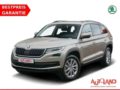 Brugt Skoda Kodiaq 150 HK (110 kW) 2020 Beige SUV