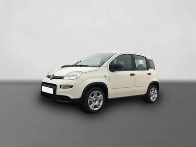 Gebraucht Fiat Panda 69 PS (50 kW) 2024 Weiß Kleinwagen