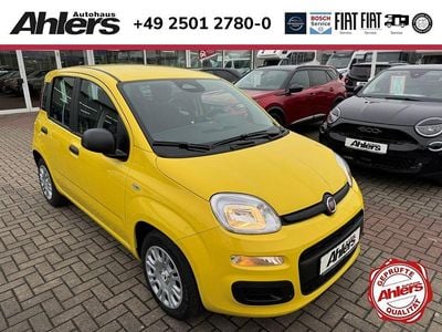 Neu Fiat Panda Pop 65 PS (47 kW) 2026 Gelb Kleinwagen