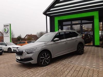 Grau Gebraucht 2020 Skoda Kamiq Style SUV | 20.490 € (Fairer Preis)
