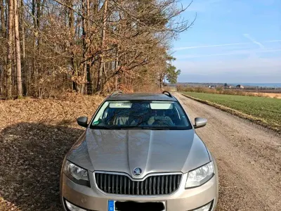 Gebraucht Skoda Octavia 150 PS (110 kW) 2014 Grau Kombi