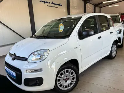 Usata Fiat Panda Easy 69 CV (50 kW) 2017 Bianco Utilitaria