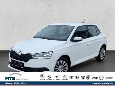 gebraucht Skoda Fabia Combi Clever 1.0 TSI ACC Klimaautom DAB SH