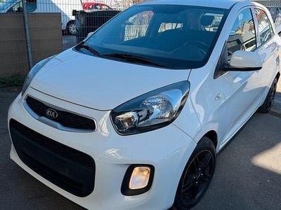 Gebraucht Kia Picanto 66 PS (48 kW) 2017 Weiß Kleinwagen