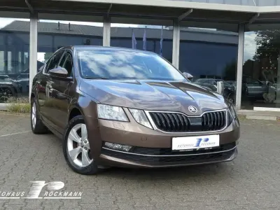 Gebraucht Skoda Octavia 190 PS (139 kW) 2019 Maple braun metallic Limousine