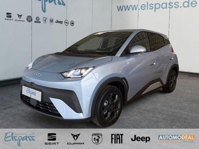 Neu BYD Dolphin Surf Comfort 114 kW (156 PS) 2025 Hellblau Kleinwagen