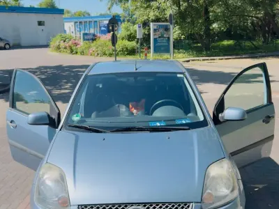 Gebraucht Ford Fiesta 69 PS (50 kW) 2006 Blau Kleinwagen