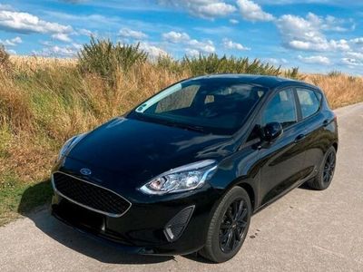 gebraucht Ford Fiesta 1.0 EcoBoost (101 PS, 5-Türer)