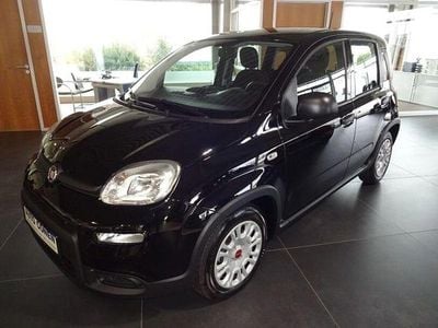 Gebraucht Fiat Panda 69 PS (50 kW) 2024 Colore esterno (cinema schwarz Kleinwagen