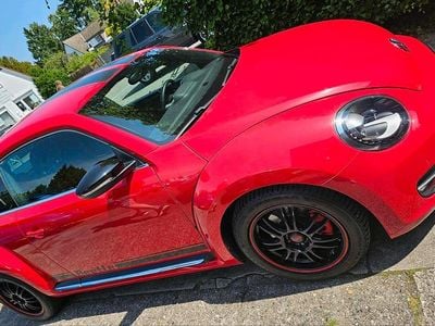 VW Beetle