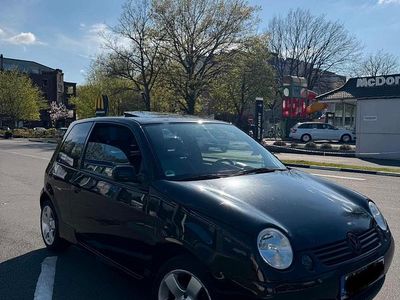 Usata VW Lupo Highline 75 CV (55 kW) 2004 Nero Utilitaria