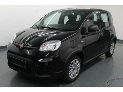 Gebraucht Fiat Panda 51 PS (37 kW) 2022 Schwarz Kleinwagen