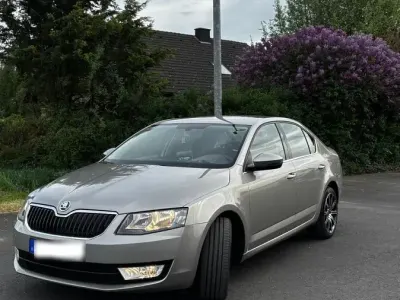 Brugt Skoda Octavia 140 HK (102 kW) 2013 Gul Sedan