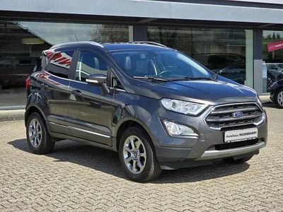 Usata Ford Ecosport Titanium 125 CV (91 kW) 2019 Grigio SUV