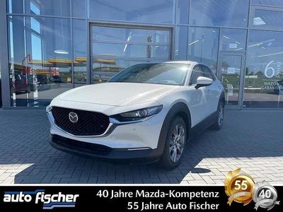 Second-hand Mazda CX-30 Go 186 CP (136 kW) 2026 Alb SUV