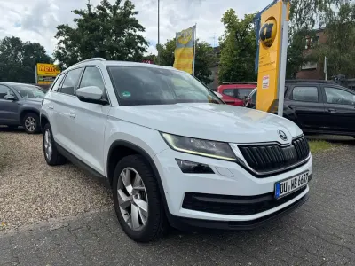 Gebraucht Skoda Kodiaq Business Line 190 PS (139 kW) 2017 Moonweiss metallic SUV