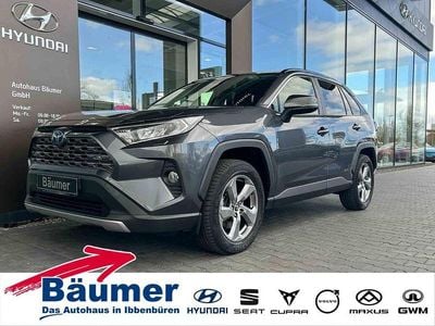 Gebraucht Toyota RAV4 Hybrid Club 218 PS (160 kW) 2019 Grau SUV