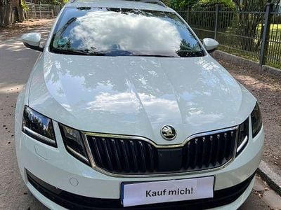 Gebraucht Skoda Octavia Drive 150 PS (110 kW) 2017 Weiß Kombi