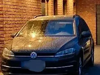 Gebraucht VW Golf VII 150 PS (110 kW) 2020 Grau Kombi