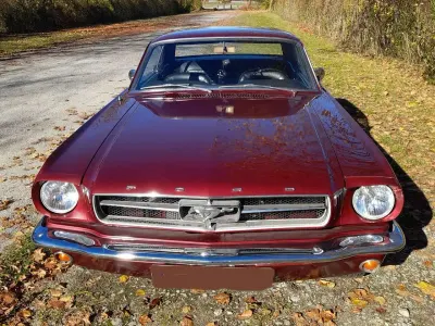 Gebraucht Ford Mustang 200 PS (147 kW) 1965 Rot Coupé