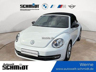 VW Beetle