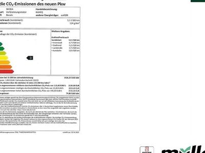 Neu Skoda Kamiq Tour 95 PS (69 kW) 2025 Silber (brilliantsilber metallic) SUV
