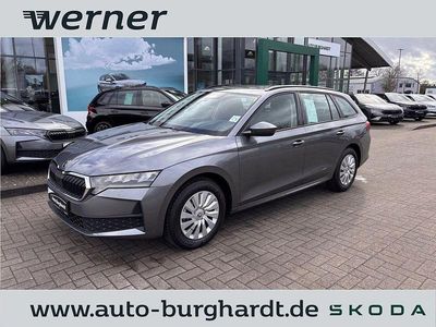 Neu Skoda Octavia Essence 116 PS (85 kW) 2026 Grau Limousine