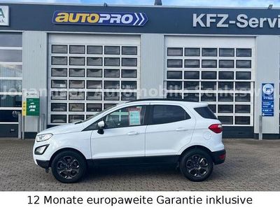Weiß Gebraucht 2019 Ford Ecosport Cool & Connect SUV | 13.890 € (Fairer Preis)