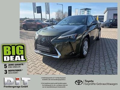 Gebraucht Lexus UX 250h Luxury Line 184 PS (135 kW) 2023 Norigrün metallic SUV