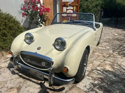Brugt Austin Healey Sprite 65 HK (47 kW) 1959 Grøn Cabriolet