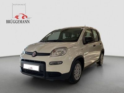 Gebraucht Fiat Panda 69 PS (50 kW) 2025 Weiß Kleinwagen