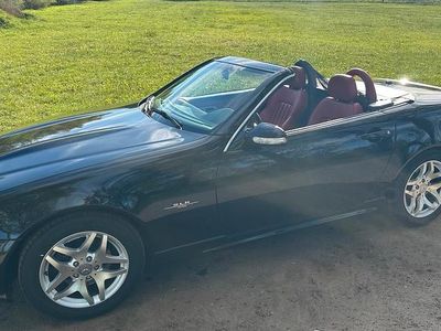Gebraucht Mercedes SLK230 Edition 197 PS (144 kW) 2003 Schwarz Cabrio