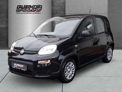 Fiat Panda Cross