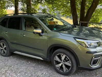 Gebraucht Subaru Forester
