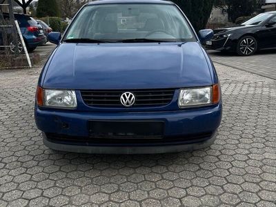 gebraucht VW Polo N6