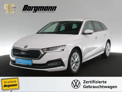 Gebraucht Skoda Octavia Style 116 PS (85 kW) 2023 Weiss / candy weiss Kombi
