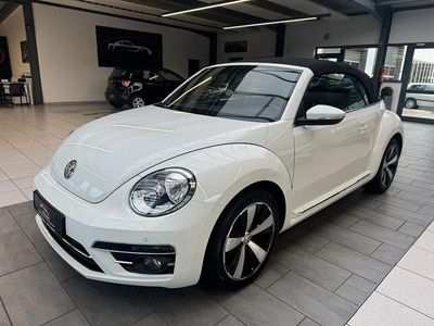 VW Beetle