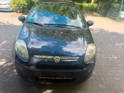 Gebraucht Fiat Punto 2012 Blau Kleinwagen