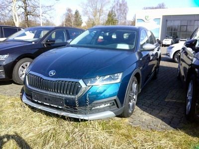 Gebraucht Skoda Octavia Scout Scout 4x4 150 PS (110 kW) 2023 Blau Kombi