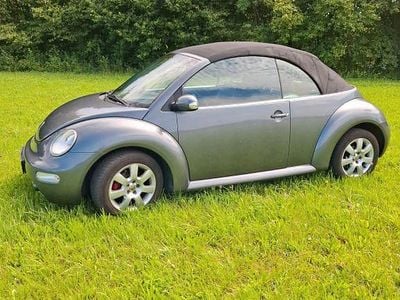 VW Beetle