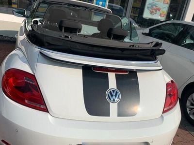 VW Beetle