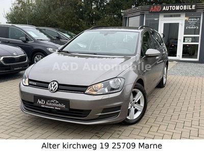 Gebraucht VW Golf VII Comfortline 110 PS (80 kW) 2014 Grau Kombi