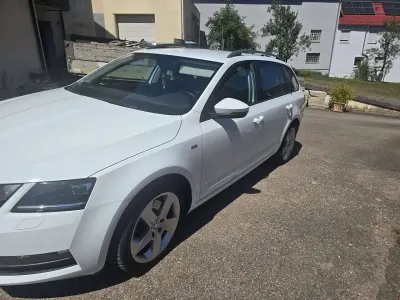 Gebraucht Skoda Octavia Clever 190 PS (139 kW) 2018 Weiß Kombi
