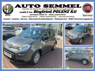 Gebraucht Fiat Panda 87 PS (63 kW) 2023 Colosseo grau Kleinwagen