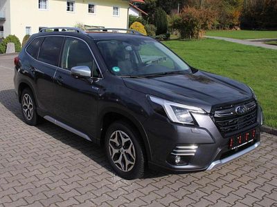 Gebraucht Subaru Forester Comfort 150 PS (110 kW) 2024 Magnetite gray (m) SUV